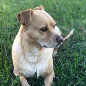 Meet your Posher, Sylvia